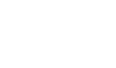 Black Swan logo